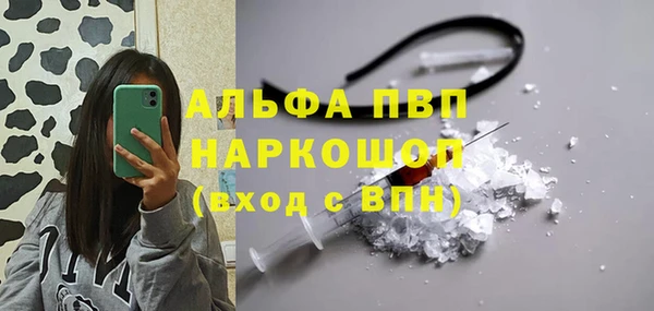 прущие крисы Абаза