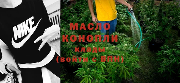 сатива Нягань