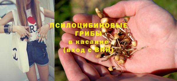 соль курить ск Няндома