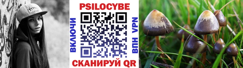 OMG   Тырныауз  Псилоцибиновые грибы Psilocybine cubensis 